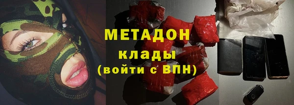 прущие грибы Алзамай